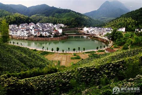 淳安新增了一条“千岛湖大道”，你知道在哪吗 - 杭州网 - 杭州新闻中心