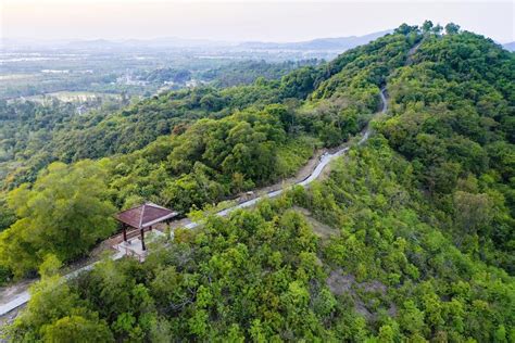 美如画卷！斗门莲江村800米山野步梯升级完工对外开放