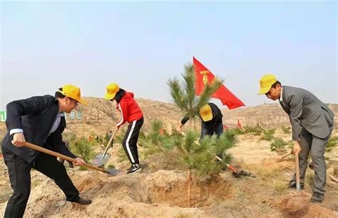榆林市府谷县有序开展植树造林活动凤凰网陕西_凤凰网