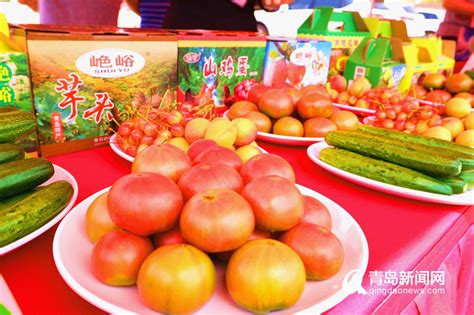 银川：草莓产业助农增收_时图_图片频道_云南网