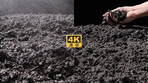 黑色土壤图片-黑色土壤图片素材免费下载-千库网