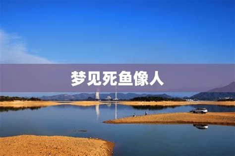 天津海河出现大量死鱼 与爆炸有关?|界面新闻 · 图片