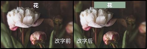 p图无痕改字图片