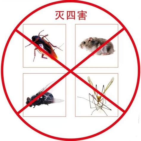 四害是什么？上海为什么要发布除四害规定-上海众恳环保科技有限公司
