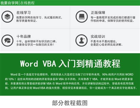 Word VBA入门到精通教程-商品详细