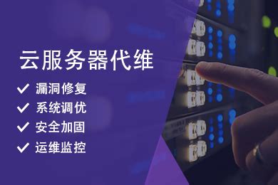 「网站维护」-网站托管-企业网站代运营-上海树圈网络