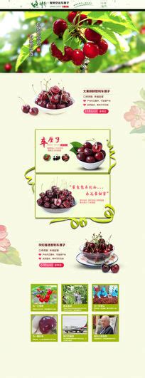 水果网站网页模板图片_水果网站网页模板设计素材_红动中国