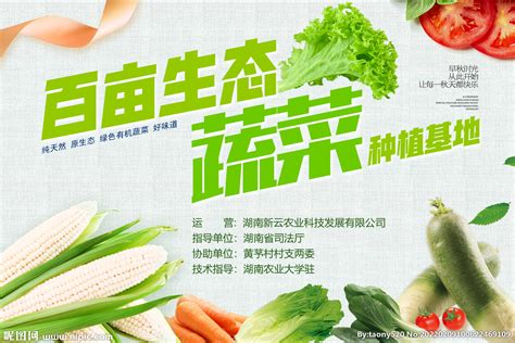 百亩生态蔬菜种植基地设计图__海报设计_广告设计_设计图库_昵图网nipic.com
