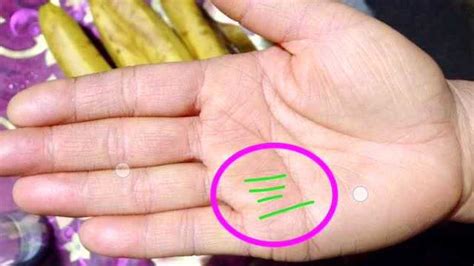 聚财纹：小指和无名指下方出现这种竖纹