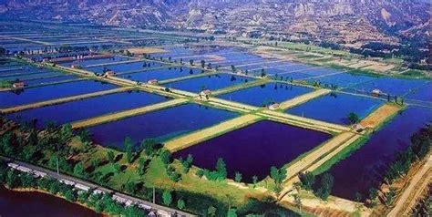中国水产养殖业发展现状分析 - 文档之家