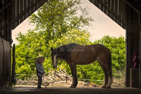 马场里的男孩与马高清图片下载-正版图片501851919-摄图网