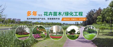 2020年9月16日第二十二届中国国际花卉园艺展览在京开幕 | 北晚新视觉