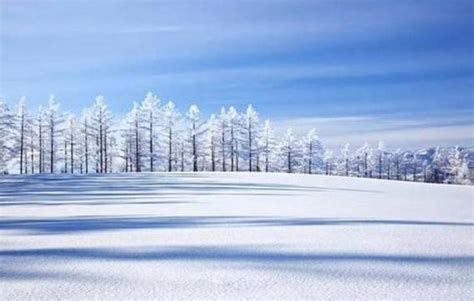 关于雪的诗句有哪些 描写雪的优美句子精选