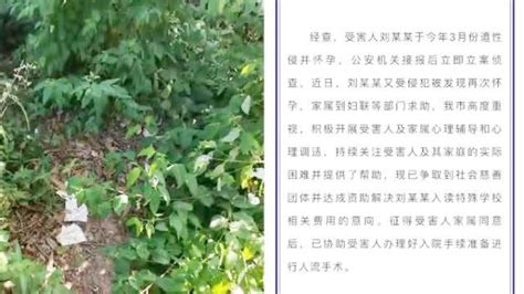 广东茂名通报12岁智障女孩二次怀孕:已争取到资助(含视频)_手机新浪网