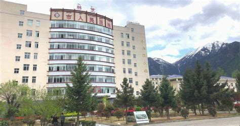 完善林芝市人民医院病理科建设，创建西藏林芝地区病理会诊中心 | 中山大学附属第一医院