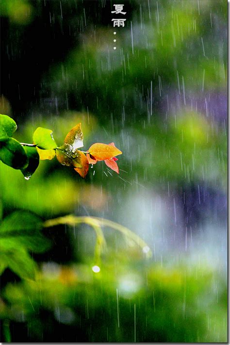 摄影下雨天街道上的雨景和水滴划过的玻璃背景图片免费下载 - 觅知网