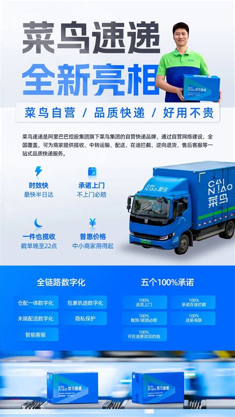 菜鸟图片