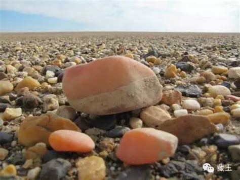 村民在地里捡到两块石头，给专家一看惊呆！竟是来自这个时代…