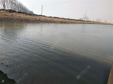 东营广利河两岸区域 - 苏州工业园区新艺元规划顾问有限公司