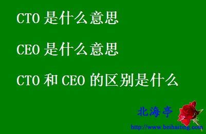 ceo.cfo.cto.cmo.coo分别是什么（CEO、COO、CFO、CTO、CIO是什么意思）_公会界
