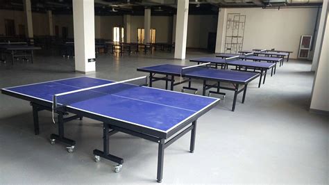 特价供应室内可移动乒乓球桌 家用标准乒乓球台 物美价廉售后无 ...