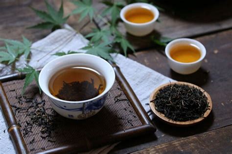 普洱绿-茶语网,当代茶文化推广者