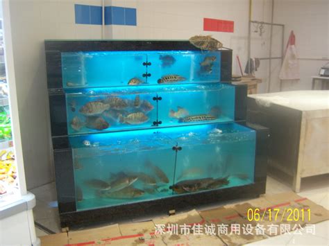 125生鲜鱼缸（圆弧型）-生鲜鱼缸-广东格美冷链设备科技有限公司官网