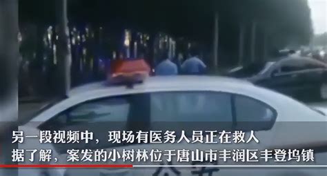 唐山一小树林两人被害 刑警介入 河北唐山刑事案件详情最新消息-新闻频道-和讯网