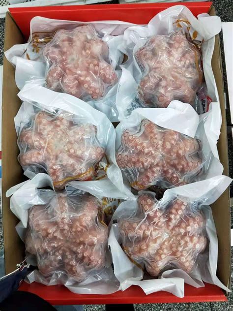 西安海鲜冷冻批发章鱼花价格优惠高清图片 高清大图