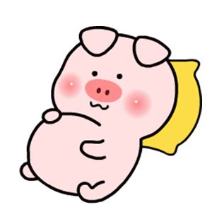 小笨猪图片