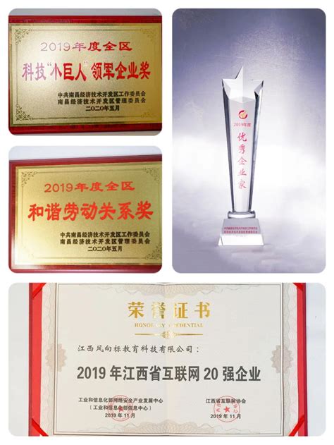 热烈祝贺江西风向标教育荣获2019年度全区三项大奖 ——江西风向标教育科技有限公司