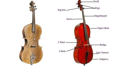 大提琴的发声原理 - 知乎