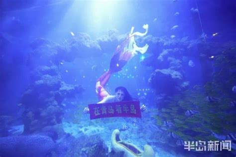 第11集西西公主海底探险，一起变身美人鱼_少儿_动画片大全_腾讯视频