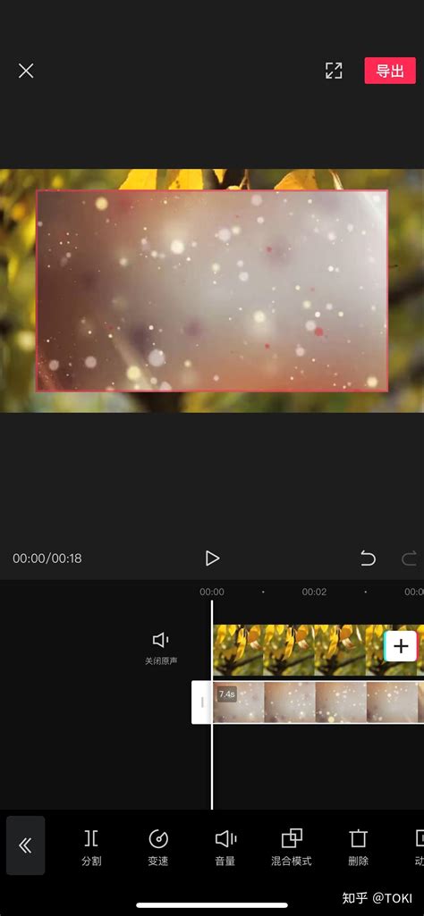画中画图片