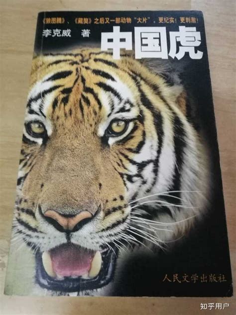如何评价小说《中国虎》？ - 知乎