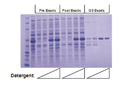 FASST快速检测-基因敲除细胞/点突变/文库筛选/CRISPR检测_艾迪基因【官网】