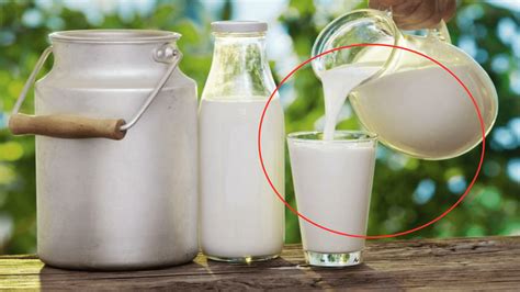 三聚氰胺事件12年后 ，你喝到的牛奶变得更安全了吗？｜凰家实验室
