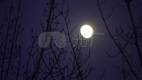 满月之夜穿过森林的山地路在夜晚与大月亮相伴的乡村高清图片下载-正版图片506091223-摄图网