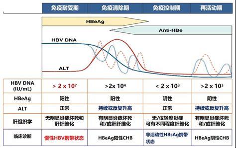 曹广文教授：HBV导致肝癌的主要机制及特异性预防-肝癌康复圈-觅健