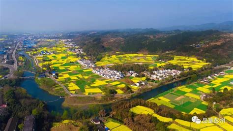 航拍纳溪区丰乐镇马村幸福美丽新村的桂花绿道景 图片 | 轩视界