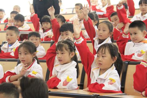 湖南举行纪念中国少年先锋队建队70周年主题队日活动 - 少年湖南 - 新湖南