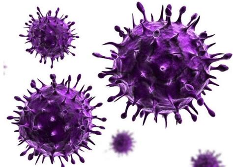 HPV会传染给孩子吗-39疾病百科