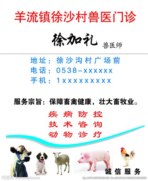 兽医 兽医名片 养殖 种牛 肉设计图__名片卡片_广告设计_设计图库_昵图网nipic.com