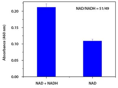 NAD+/NADH检测试剂盒(WST-8法)(S0175) | 日本Sanplatec官网代理商
