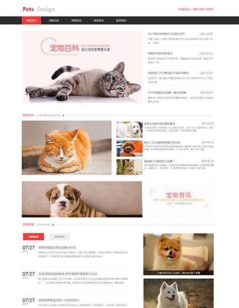 宠物猫领养企业网站模板_精美可爱html宠物猫种类网页模板【免费使用】-凡科建站