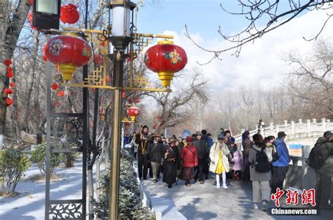 西藏拉萨迎藏历新年首场雪-大河网