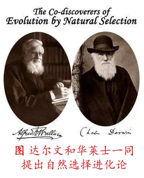 其实你不懂进化论 | 北京交通大学图书馆