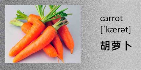 carrots怎么读,by,语音_大山谷图库