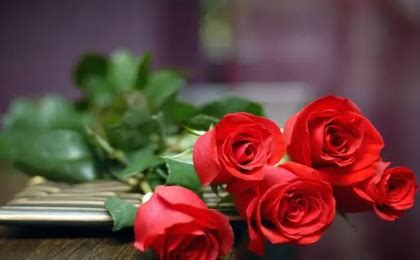 你在你的玫瑰花身上耗费的时间使得你的玫瑰花变得如此重要