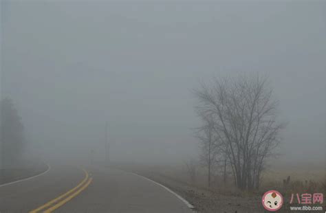 德国巴伐利亚的早晨大雾弥漫高清图片下载-正版图片507188322-摄图网